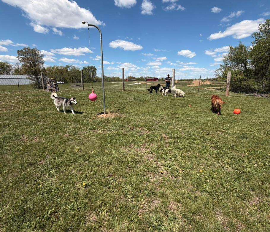 Fenced play yard with toys